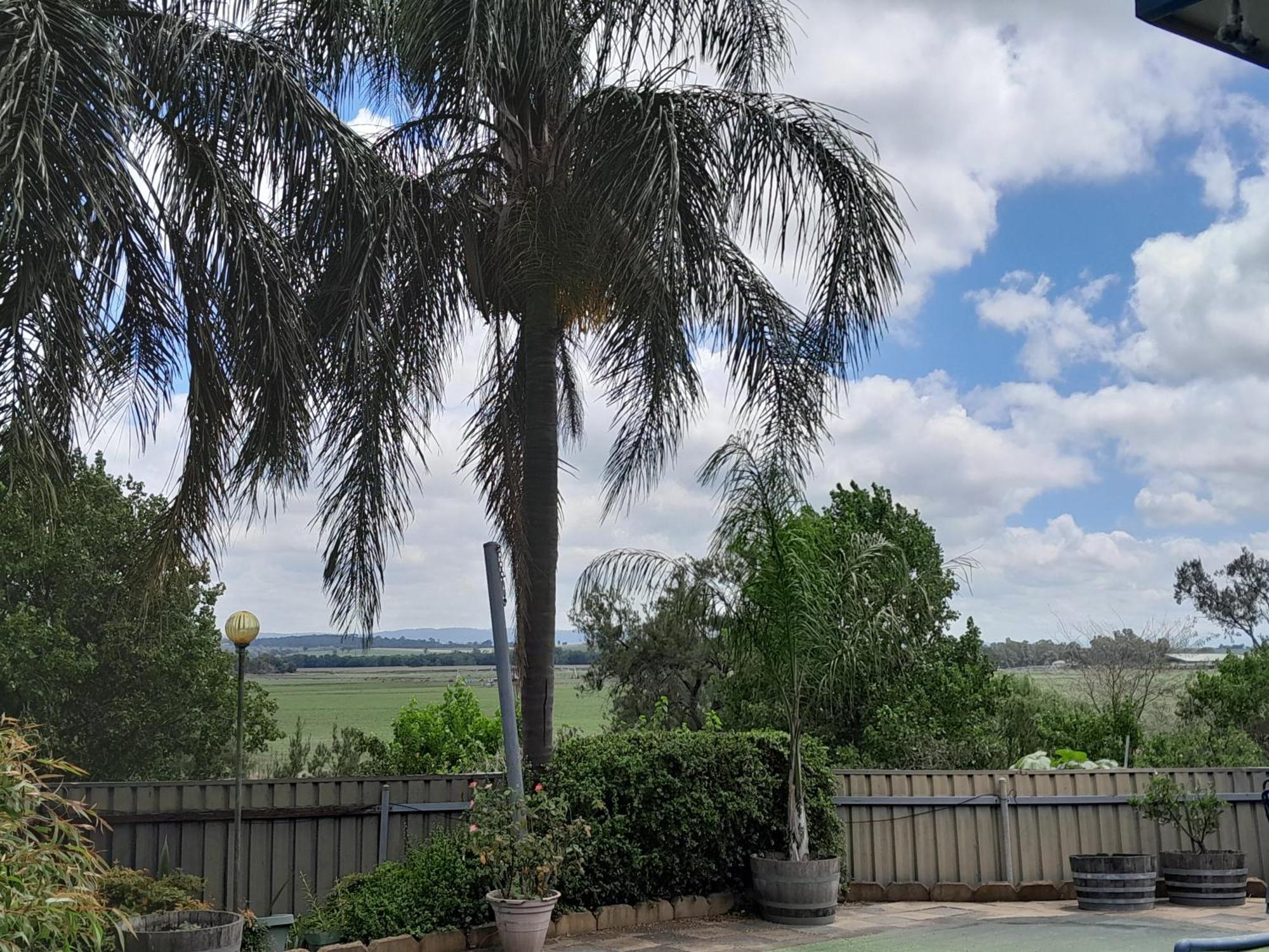 Muswellbrook Northside Bed & Breakfast Eksteriør bilde